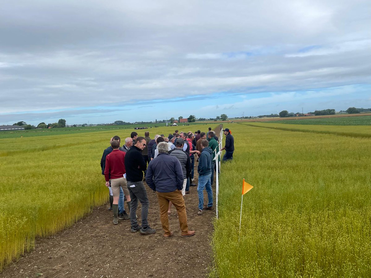 Groupe_ISSIPA's tweet image. En direct de la Journée du Lin à 📍Rubrouck (59)
Evénement technique organisé par Arvalis, Terre de Lin, Linea et Van de Bilt.

#Agriculture #Innovation