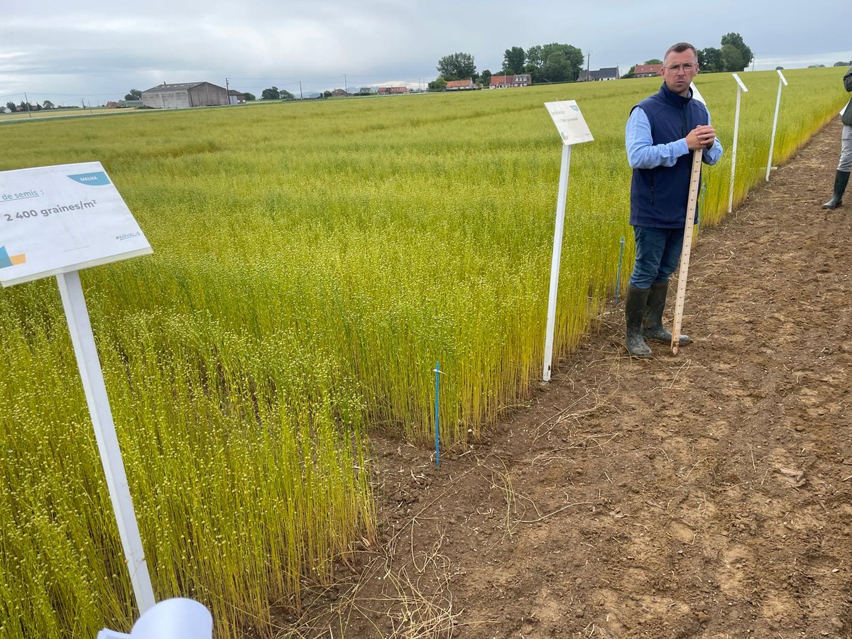 Groupe_ISSIPA's tweet image. En direct de la Journée du Lin à 📍Rubrouck (59)
Evénement technique organisé par Arvalis, Terre de Lin, Linea et Van de Bilt.

#Agriculture #Innovation