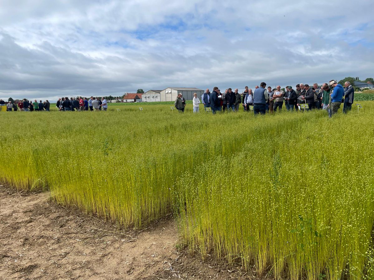 Groupe_ISSIPA's tweet image. En direct de la Journée du Lin à 📍Rubrouck (59)
Evénement technique organisé par Arvalis, Terre de Lin, Linea et Van de Bilt.

#Agriculture #Innovation