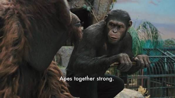 Thirukkumaran Amirthalingam tweet media