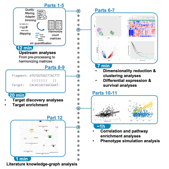OhioStatePIIO's tweet image. 🧬 New from #PIIO researchers Drs. @GianniNigita & @AleLaFerlita90!
This step-by-step protocol enables robust analysis of #tRNA_derived_fragments (tRFs) from #smRNA_seq data—shedding light on their emerging roles in human health and disease. 🔍🧠
📖 Read:…