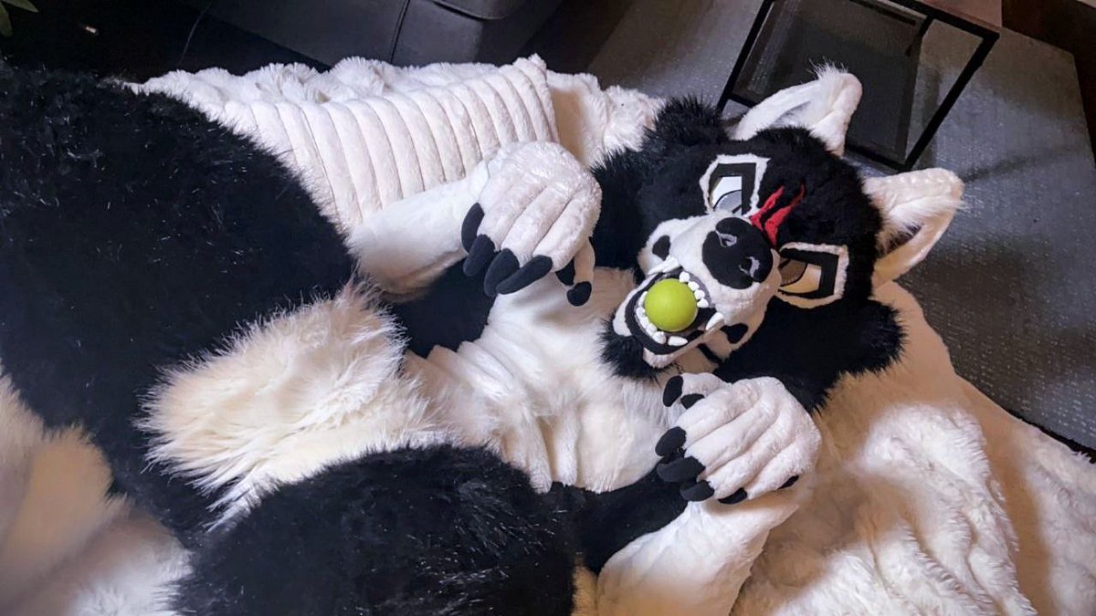 No take.... only throw 😠

Happy #FursuitFriday 
📸: <a href="/ricobarkss/">R.I.C.O</a>