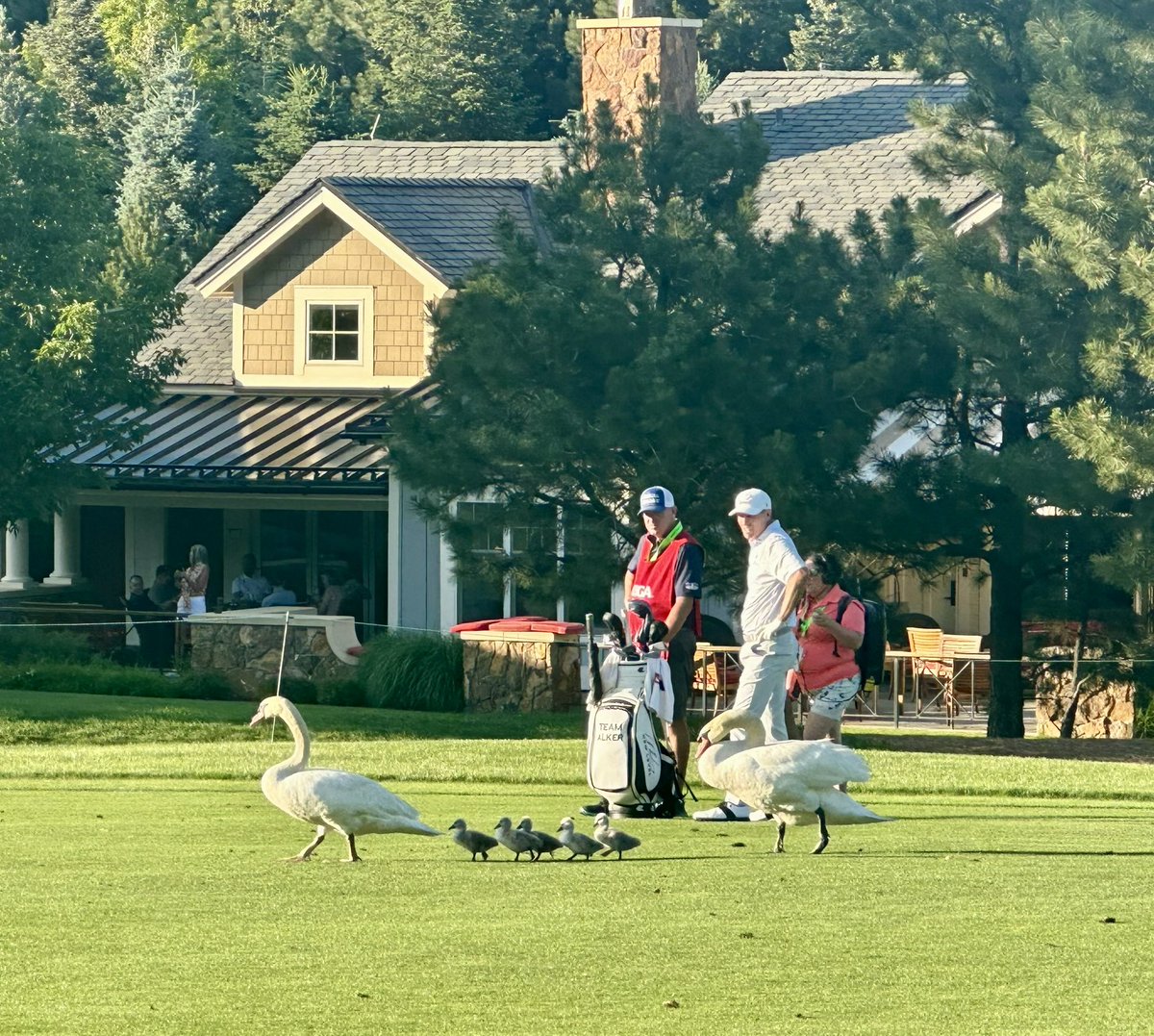 TroyMartinGolf's tweet photo. We had a group play thru on 18 yesterday at The Broadmoor #USSO @USGA https://t.co/sYREBIYP3I
