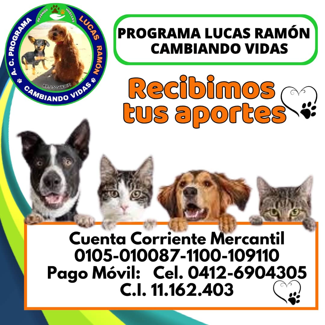 FRAENKELE's tweet photo. Para poder seguir con nuestra valiosa labor social necesitamos de tu ayuda 🆘⛑️🆘⛑️ hoy es viernes y se necesitan recursos x favor gracias 🫂 https://t.co/mIUl7te3Ga