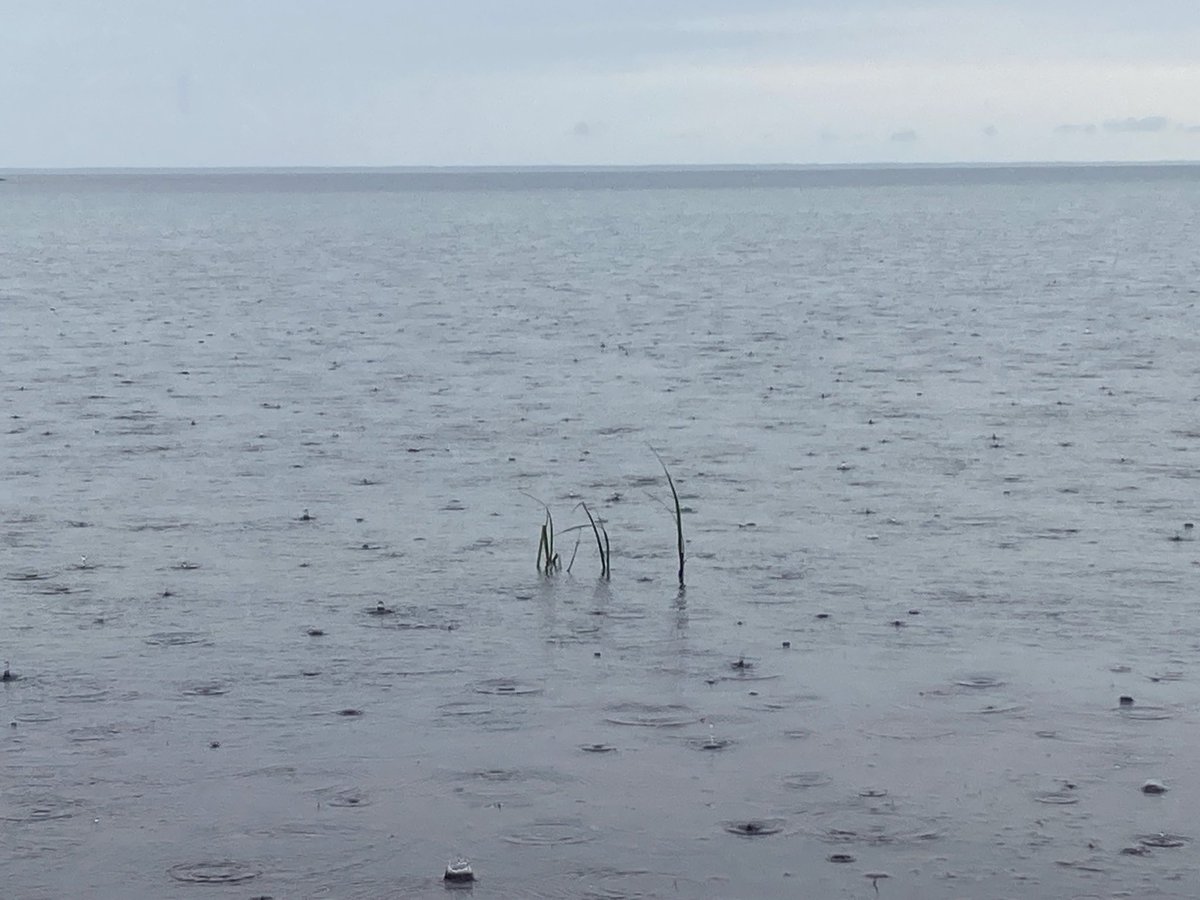 Rain falling into the sea