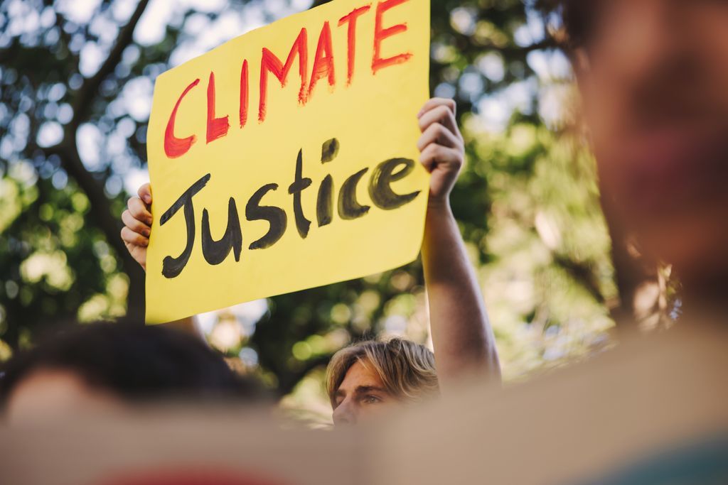 Want to take action with Dogwood? From rallies to webinars, storytelling events to public hearings — there’s a place for YOU in this movement. Check out our #Events Calendar to stay in the loop + get involved! dogwoodalliance.org/dogwood-ambass…