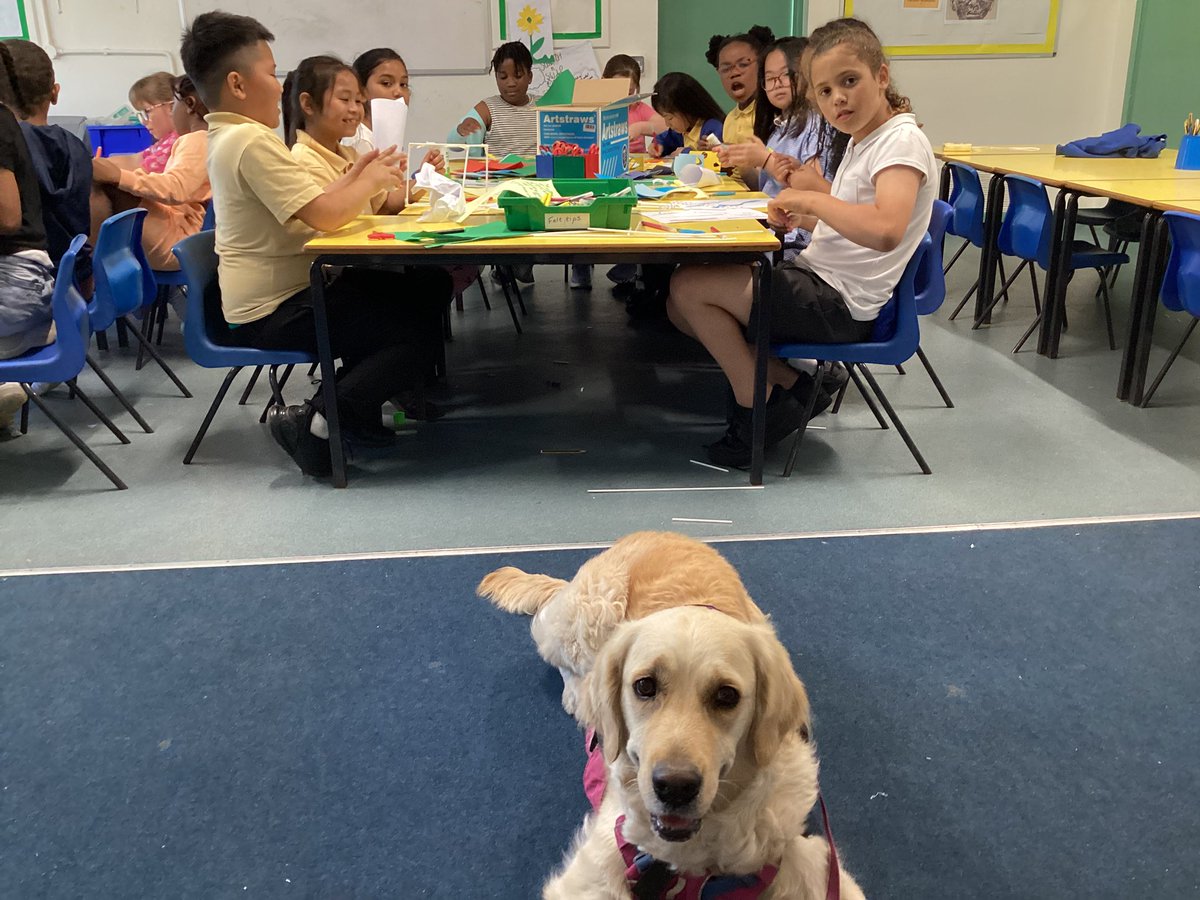 St Catherine of Siena Catholic Primary School (@stcathrc) on Twitter photo It was wonderful for the children in the creative enrichment group to be joined by Denali. #CatholicLifeStCathRC <a href="/BCPP__/">🧡Catholic Primary Partnership🧡</a> <a href="/BhamDES/">Birmingham Diocesan Education Service</a> It was wonderful for the children in the creative enrichment group to be joined by Denali. #CatholicLifeStCathRC <a href="/BCPP__/">🧡Catholic Primary Partnership🧡</a> <a href="/BhamDES/">Birmingham Diocesan Education Service</a>