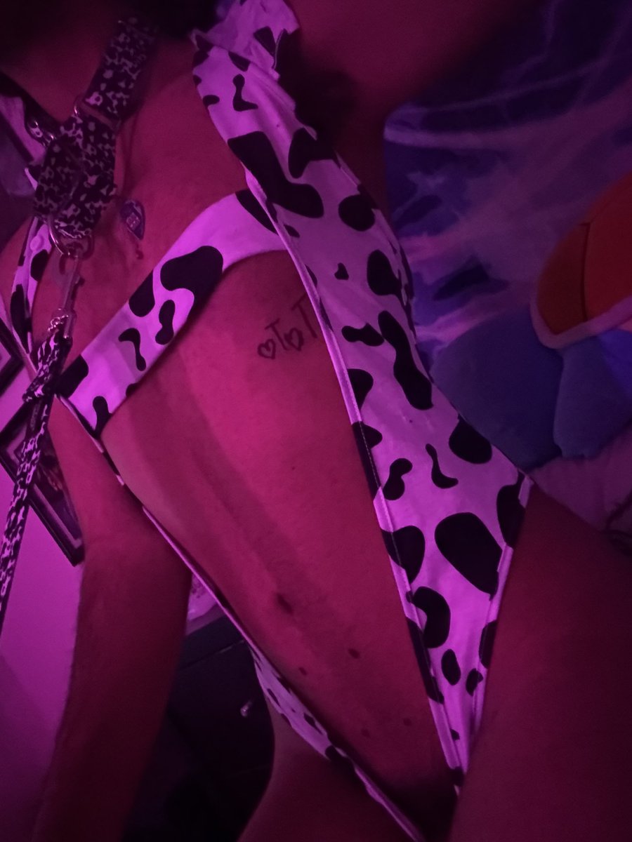 M’lady🪻🌸 tweet media