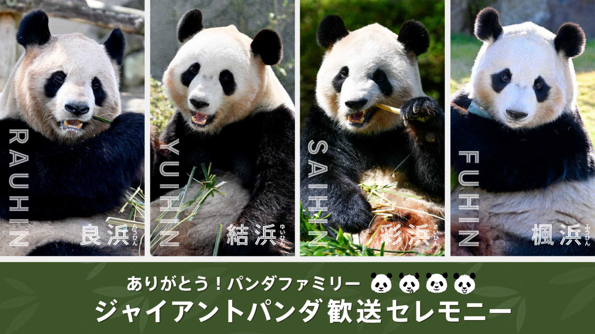 アドベンチャーワールド公式オンラインショップ