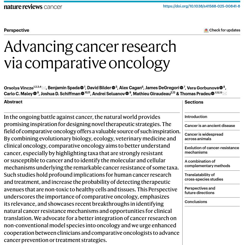 Orsolya Vincze tweet media