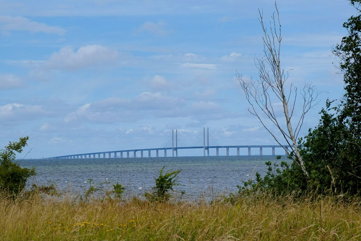 LisavonSteijern's tweet photo. Today's walk to Klagshamn outside Malmö
#klagshamn #photofrommyheart https://t.co/GNB7YB3WXe
