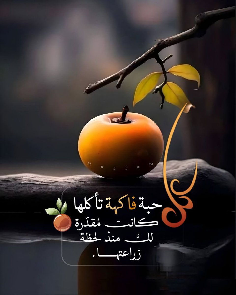 LOLABASH12's tweet photo. :عبارة للتأمل
كل حبة فاكهة تأكلها
كانت مُقدّرة لك منذ لحظة زراعتها.
وقبل أن تُزرع حتى 
هل قد فكرت فيها..؟! ..
فكيف تخاف على رزقك وتقلق؟؟

تأملها جيداً..
_ماكتبه الله لك، حتمًا ستناله فاطمئن.. https://t.co/od6Lr5Oaig