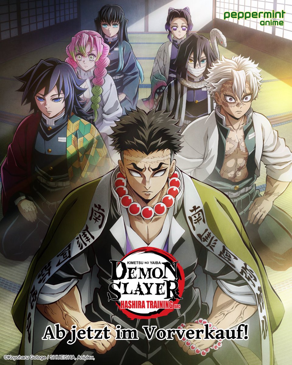 Jetzt vorbestellen und Extras sichern! 📢

Demon Slayer -Kimetsu no Yaiba- Hashira Training Arc - Vol. 1 (Blu-ray) befindet sich aktuell in der EARLY BIRD-Phase: akibapassshop.de/products/25p07…
