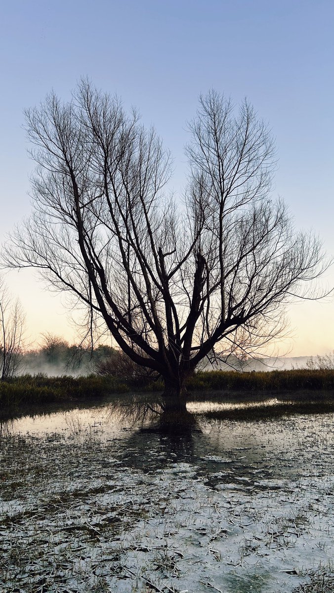 Hermosa helada por los pagos …