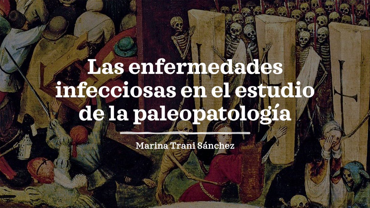 🦴 Seminario online | Las enfermedades infecciosas en el estudio de la paleopatología
📆 Lunes 30 de junio · 19:00 h
👩‍🏫 Marina Trani Sánchez
🏛 CODOLI – Sección de Antropología Física y Forense
🔗 Acceso libre: calendar.app.google/qUYMvFBjxxctfL…
#Paleopatología #Antropología #CODOLI