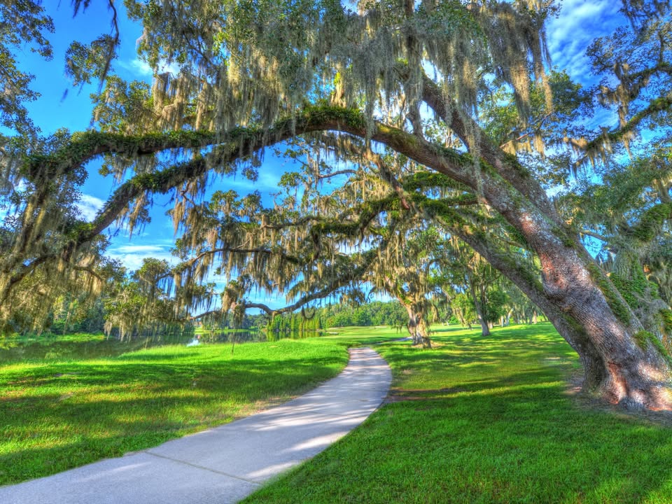 At Lake Jovita, you’re not just buying a home, you’re embracing a lifestyle. And with ICI Homes, you can take it a step further. Ready to build outside the box? Let’s bring your dream home to life with custom options designed around your imagination.

iciho.me/3WmcdCZ