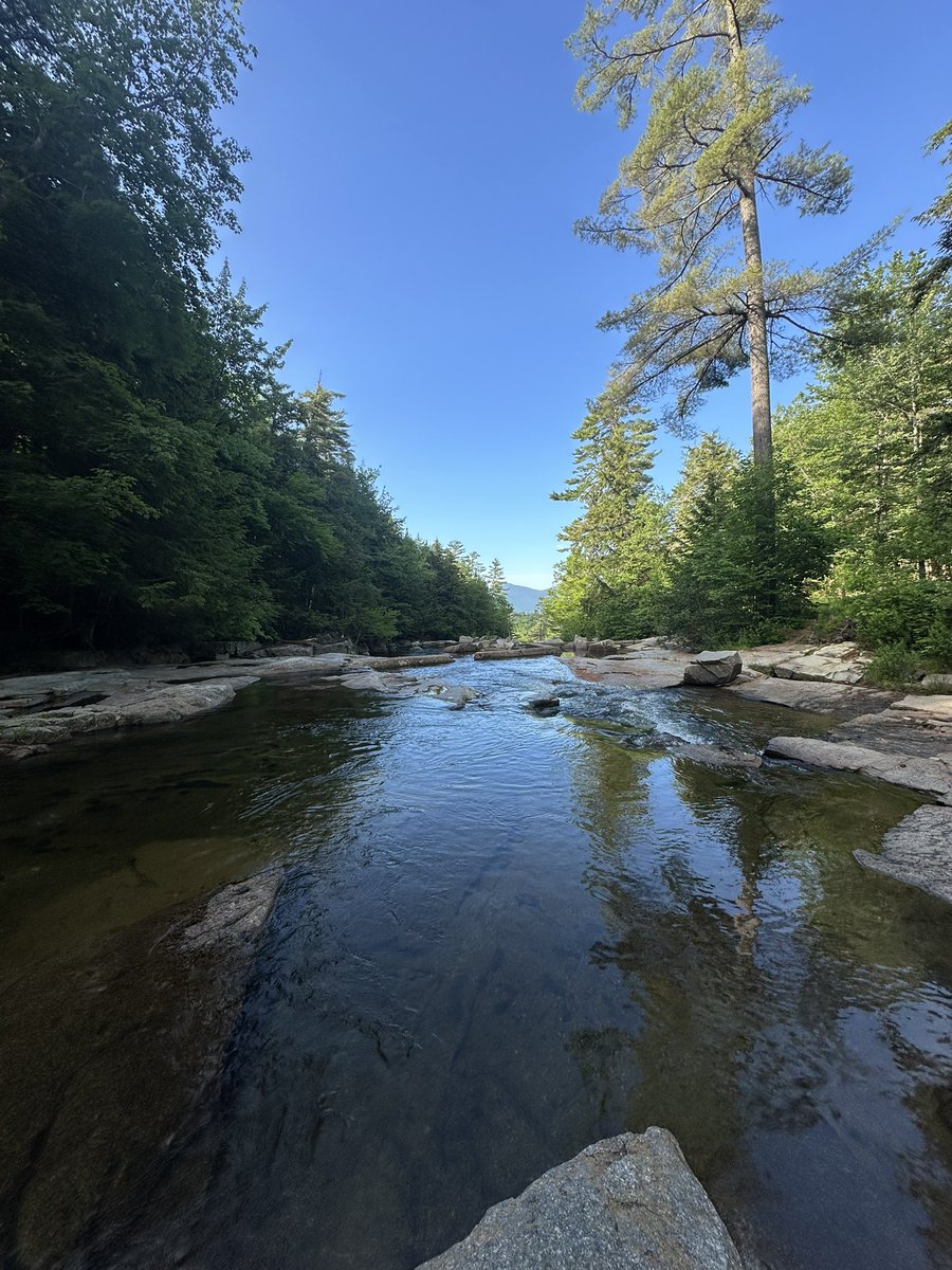 humanutopia2021's tweet image. Freezing cold early morning dip in the Wildcat River, Jackson Falls, New Hampshire. In my happy place.