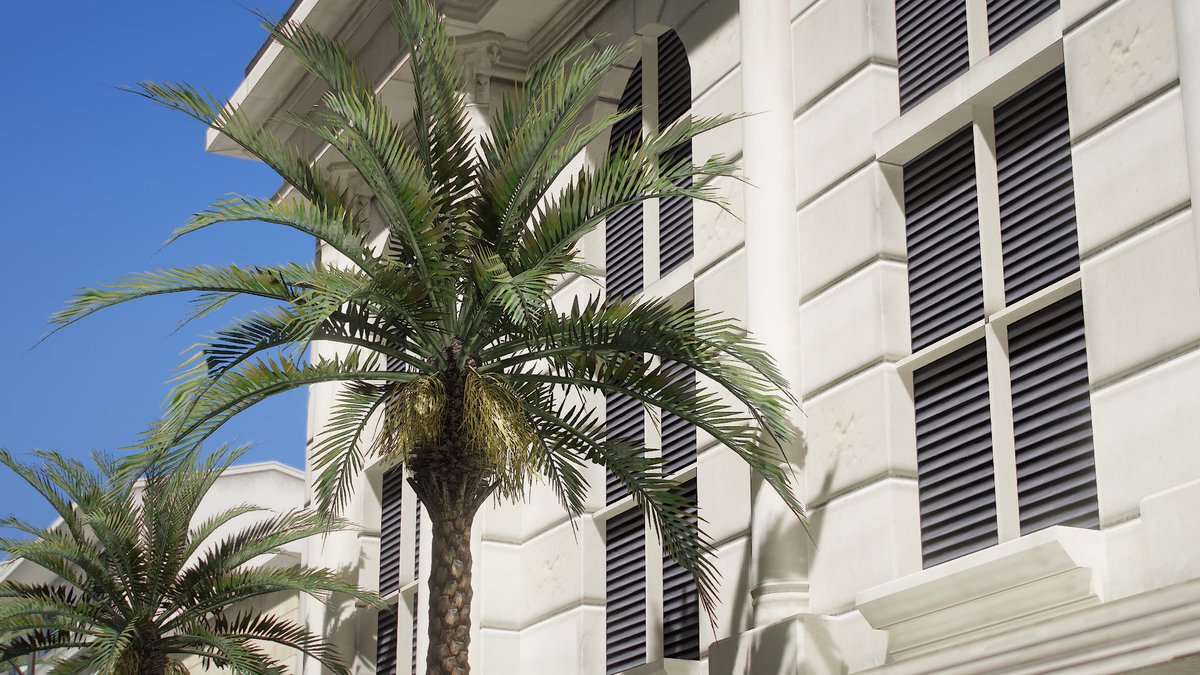 chu44aa's tweet image. Natural Vision 🌴

#VirtualPhotography #RockstarGames #GrandTheftAutoV #GrandTheftAuto #GTA5 #GTA