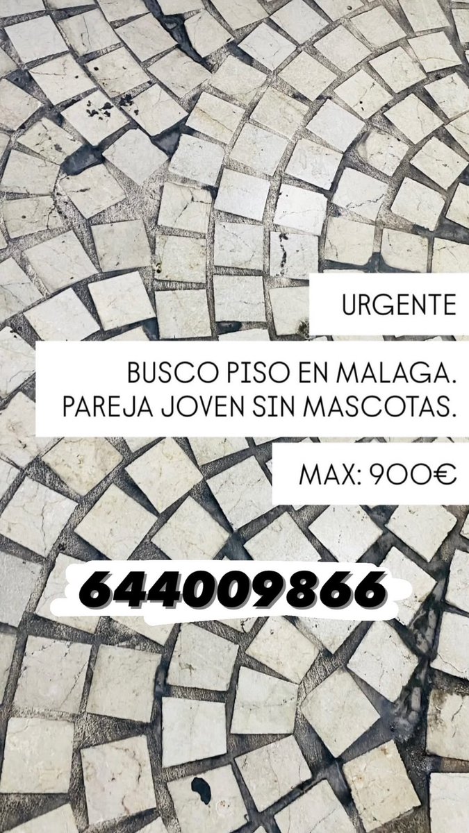 tortilla con cebolla ۞ tweet media