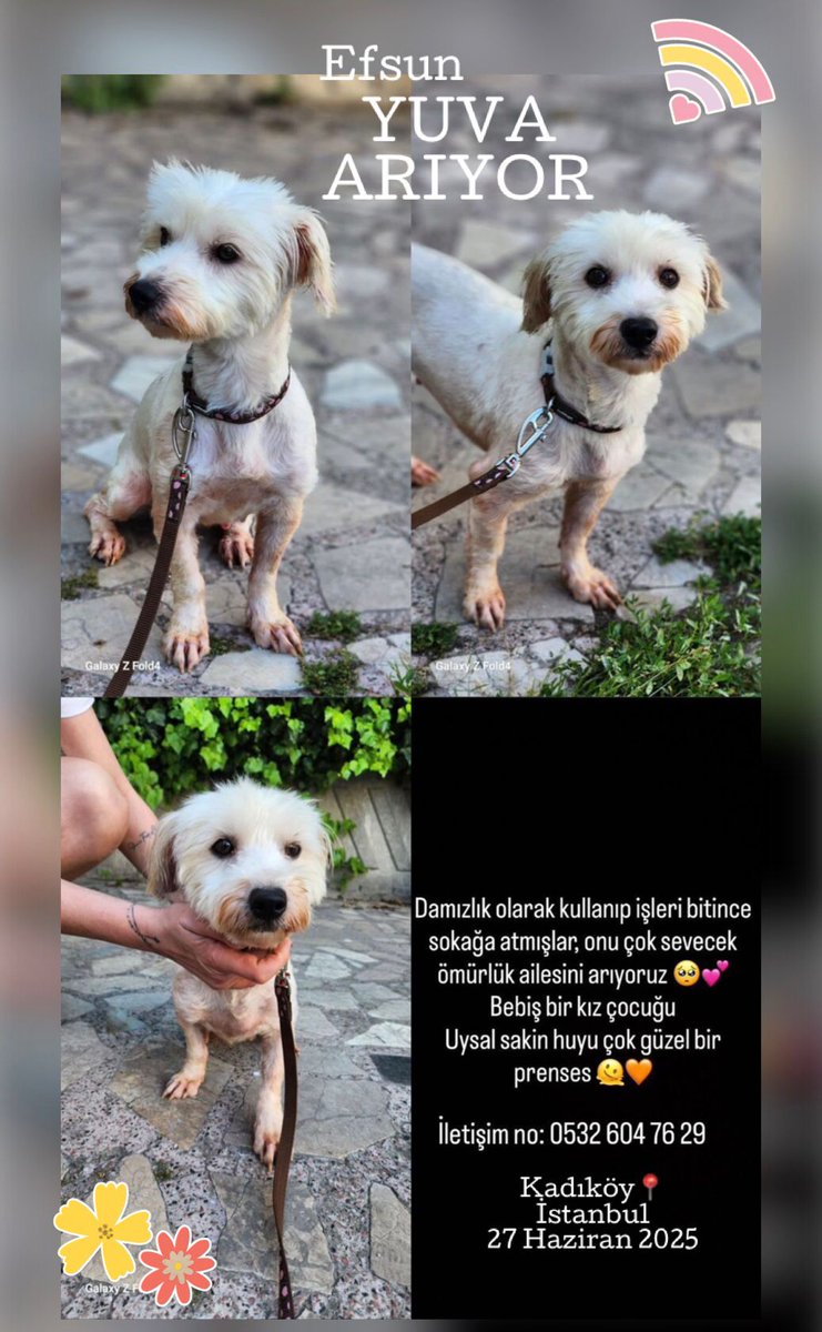 Hikayesi acikli bir cocuk daha uretim icin kullanilip sonra atilmis.😔
