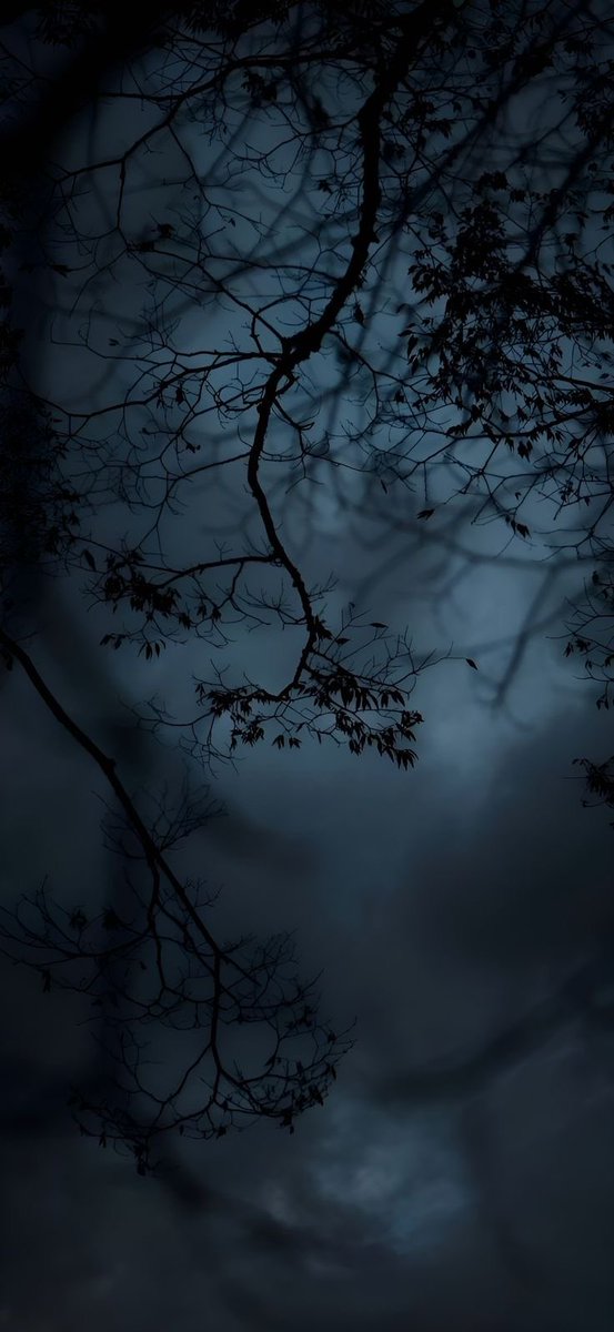 salt (@ancilladominii) on Twitter photo 