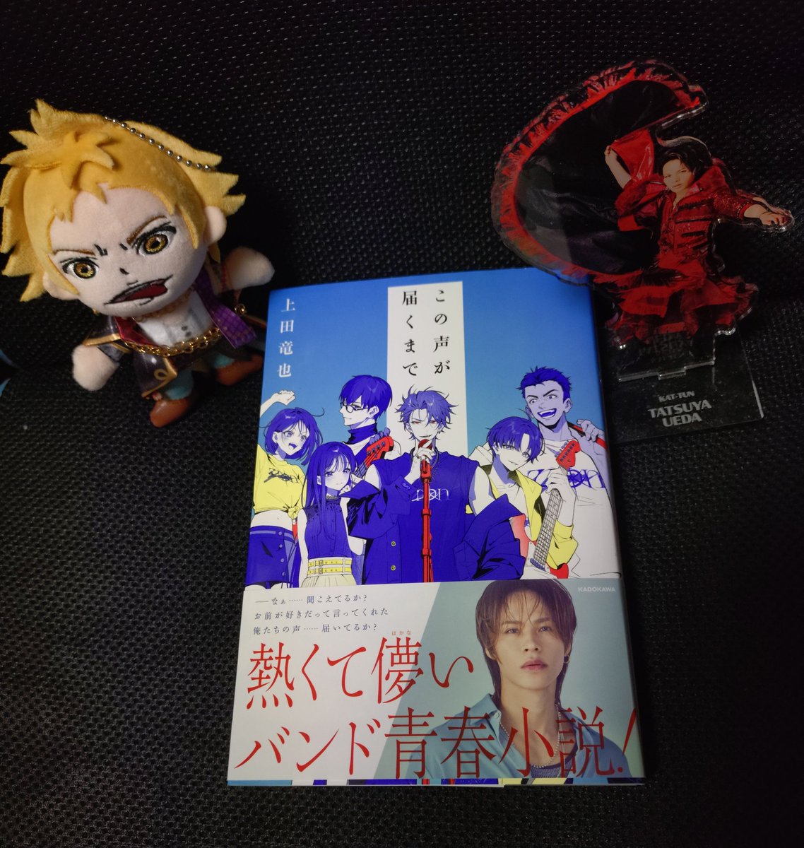 chibimaru tweet media