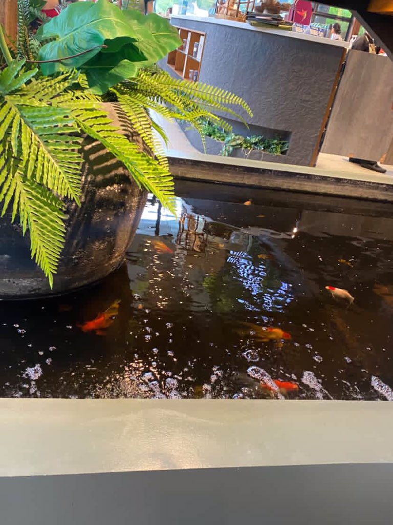 healing after my breakdown at physics with good friends (treat ng one of my friends 🤍) 

#archivetwt :')