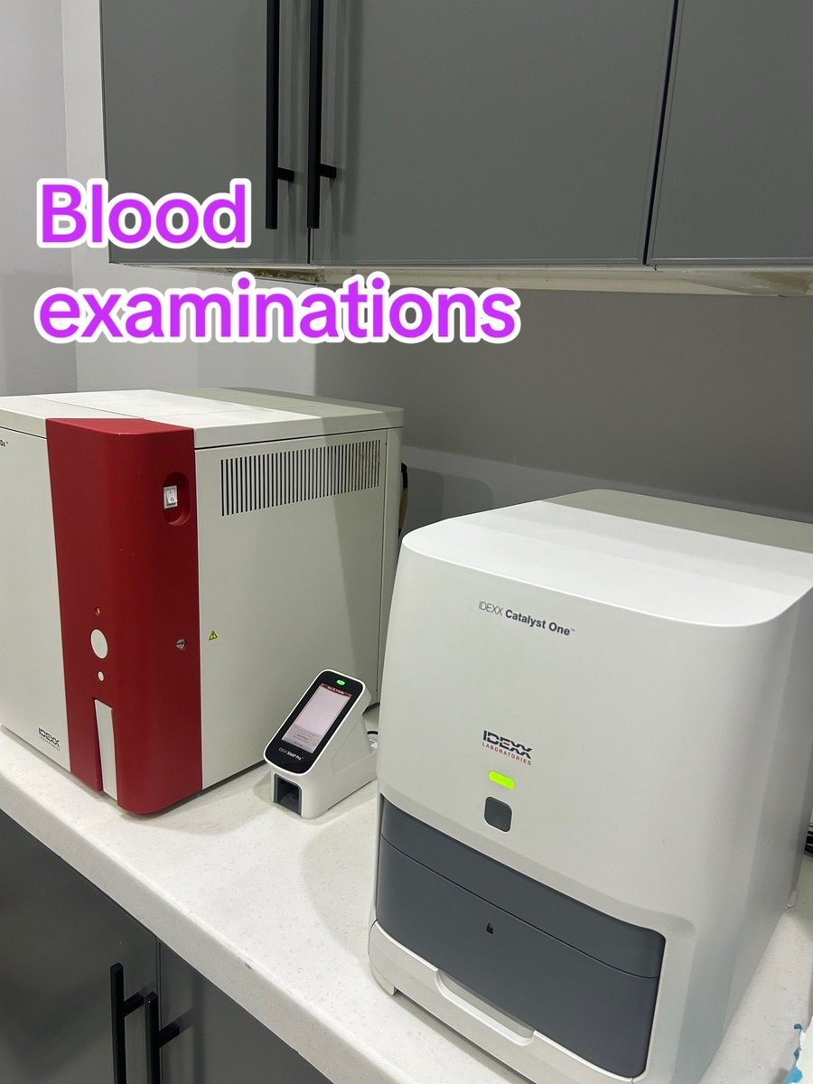 هل تحاليل الدم لحيوانك الأليف مهمة فعلًا؟ ولا مجرد استغلال من العيادة؟🤔🤔
في الحقيقة، routine blood tests 💉ممكن تنقذ حياة حيوانك 🦮🐈وتوفّر عليك تكلفة علاج كبيرة لاحقًا.
أحيانًا نكتشف من تحليل بسيط خلل بسيط في وظيفة عضو، لو تُرك بدون علاج ممكن يسبب ضرر دائم أو مرض مزمن.