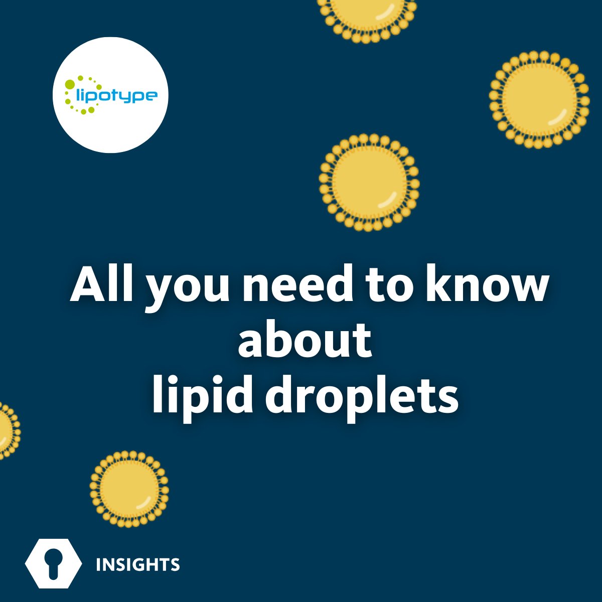 Lipotype (@lipotype_global) on Twitter photo All you need to know about lipid droplets in health and disease:
lipotype.com/lipidomics-app…
#Lipotype #LipidDroplet #LipidMetabolism #lipidomics All you need to know about lipid droplets in health and disease:
lipotype.com/lipidomics-app…
#Lipotype #LipidDroplet #LipidMetabolism #lipidomics