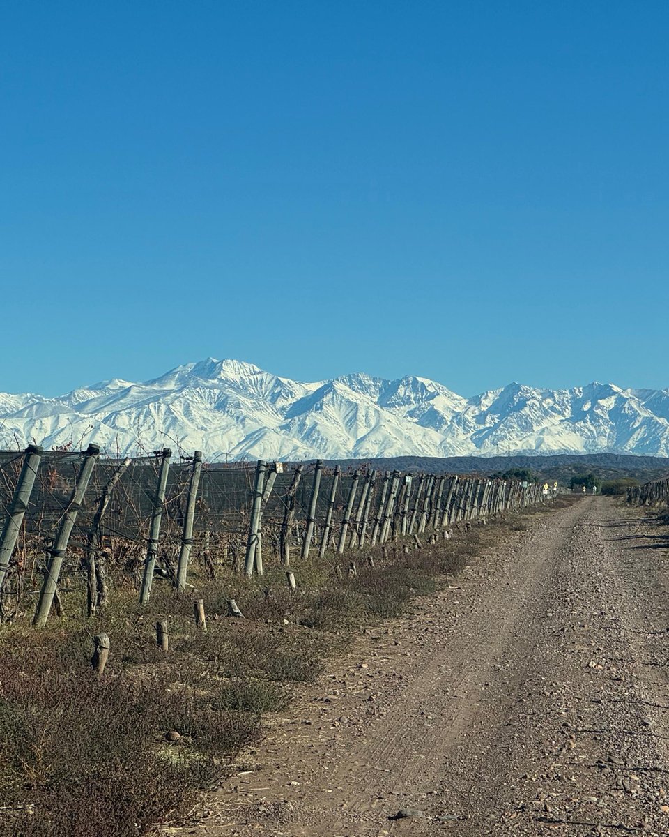 ALHmalbec's tweet image. ❄️​ Empezó el Invierno y la montaña nos ofrece una de sus postales más hermosas, con sus picos nevados que nunca dejan de maravillarnos. 

La calma domina nuestra bodega, en la que los vinos reposan hasta la llegada de la primavera.

#invierno #altoslashormigas #Mendoza