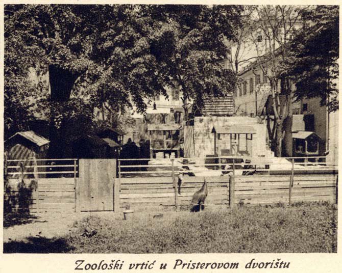 The new Zagreb Zoo opens in Yugoslavia. 

As of opening day, there are only three foxes and two owls in the zoo’s collection. 

The entrance fee to see them is one dinar.