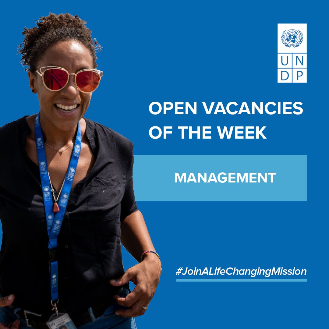 📢37 positions are now available at UNDP in the field of Management. Check out the opportunities below for international, local and remote personnel and #JoinALifeChagingMission.
💼 Explore this week’s vacancies : buff.ly/dJ8kZ3i
#UNDPCareers