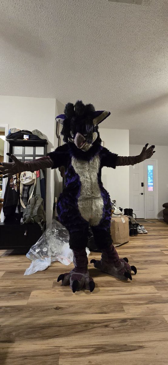 Natani Versi (@nataniversi) on Twitter photo The birb is ALIVE!! And for this #FursuitFriday I have obtained a full body thanks to the amazing makers <a href="/2ScreamingCrows/">ScreamingCrowsCreations ๐ MFF / ANW'26</a>!
Be on the lookout for this raven at AC next weekend! Feel free to come say hi, ask for a hug, or trade some stickers!
Also don't mind the unboxing mess >v< The birb is ALIVE!! And for this #FursuitFriday I have obtained a full body thanks to the amazing makers <a href="/2ScreamingCrows/">ScreamingCrowsCreations ๐ MFF / ANW'26</a>!
Be on the lookout for this raven at AC next weekend! Feel free to come say hi, ask for a hug, or trade some stickers!
Also don't mind the unboxing mess >v<