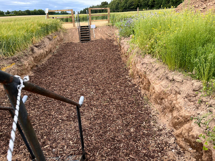 Teagasc (@teagasc) on Twitter photo Soil and Plant Nutrition Specialist, Veronica Nyhan revisits the walk-in soil pit demonstration from the Crops and Technology Open Day, revealing the impact of compaction and highlighting solutions to improve soil health.
Read it here bit.ly/3T8BBcG
<a href="/TeagascCrops/">Teagasc Tillage Team</a> Soil and Plant Nutrition Specialist, Veronica Nyhan revisits the walk-in soil pit demonstration from the Crops and Technology Open Day, revealing the impact of compaction and highlighting solutions to improve soil health.
Read it here bit.ly/3T8BBcG
<a href="/TeagascCrops/">Teagasc Tillage Team</a>