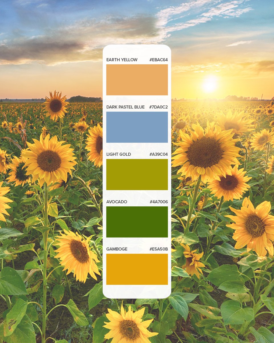 OnTheMarkComm's tweet image. Summer Color Palettes 🌈☀️ 
Bright skies, warm vibes and a palette that’s as bold as your summer plans.
Which shade is your summer mood?

#onthemark #communications #marketingagencies #traditionalmarketing #contentcreation #graphicdesign #copywriting #njbusiness