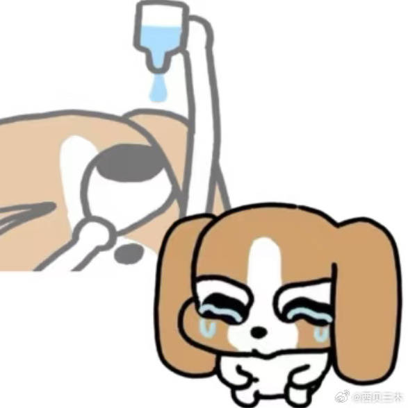 媒体预览