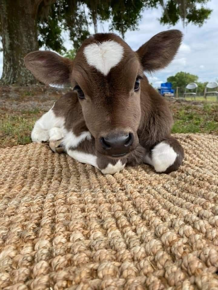 How we respond to innocence and vulnerability tells us everything about who we are.