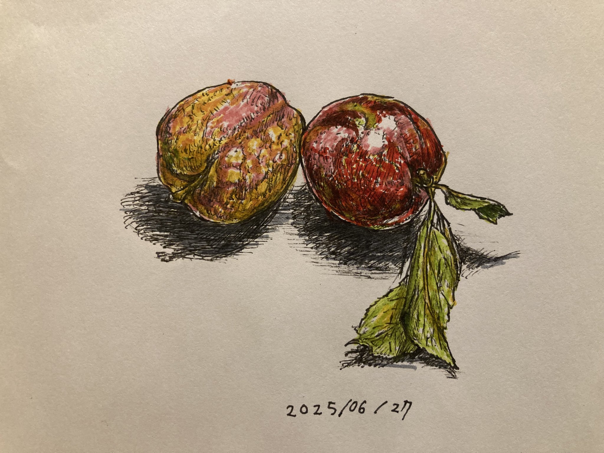 絵画(素描) 榎木孝明 絵画(ダイヤモンド・スクリーニング) 勝鬨橋から 1742