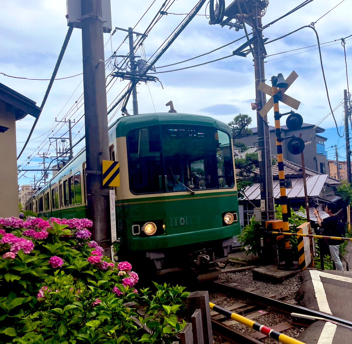 chasootm's tweet photo. 紫陽花と江ノ電🚃💠🌿 https://t.co/SiXHAu38xI
