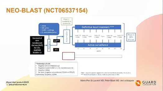 🌟🟠 Preservación vesical en CTVMI
Presentado por  <a href="/MattGalsky/">Matt Galsky</a> @MountSinaiCancer
<a href="/OncoAlert/">OncoAlert</a> @GUARDConsortium #GUARDSymposium2025
👀 La selección de pacientes es clave.
¿Todo lo que puede hacerse, debe hacerse?
🔵 TURBT + tto sistémico enfrenta barreras históricas: falta de