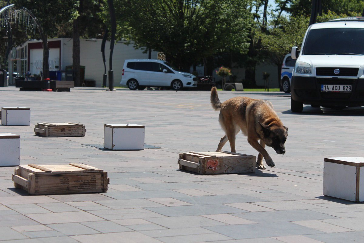 📍 26 Haziran Uluslararası Uyuşturucu Kullanımı ve Kaçakçılığı ile Mücadele Günü kapsamında farkındalık etkinlikleri, İl Sağlık Müdürlüğümüz koordinasyonunda gerçekleştirildi.
#UyuşturucuİleMücadeleGünü
<a href="/saglikbakanligi/">T.C. Sağlık Bakanlığı</a>