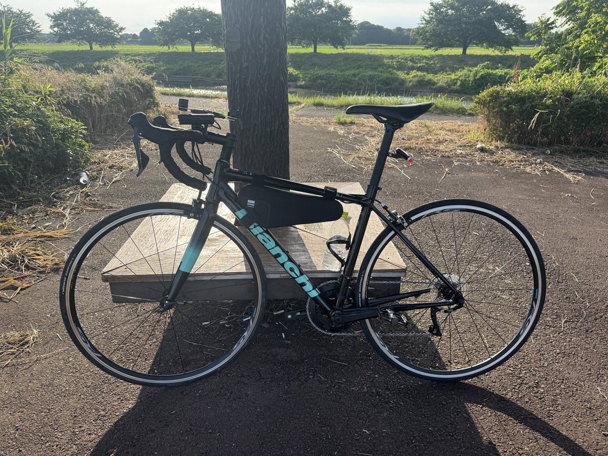 anemone1012's tweet photo. ロード買っちまったよ🚲
ビアンキのチェレステに一目惚れ
あえての2021モデルで

いろんなところ行きたいな https://t.co/hns8QuhRxO