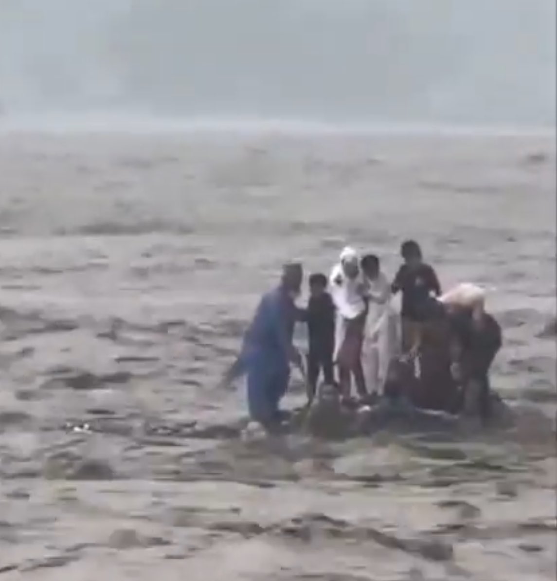 Shehr Bano Official tweet media