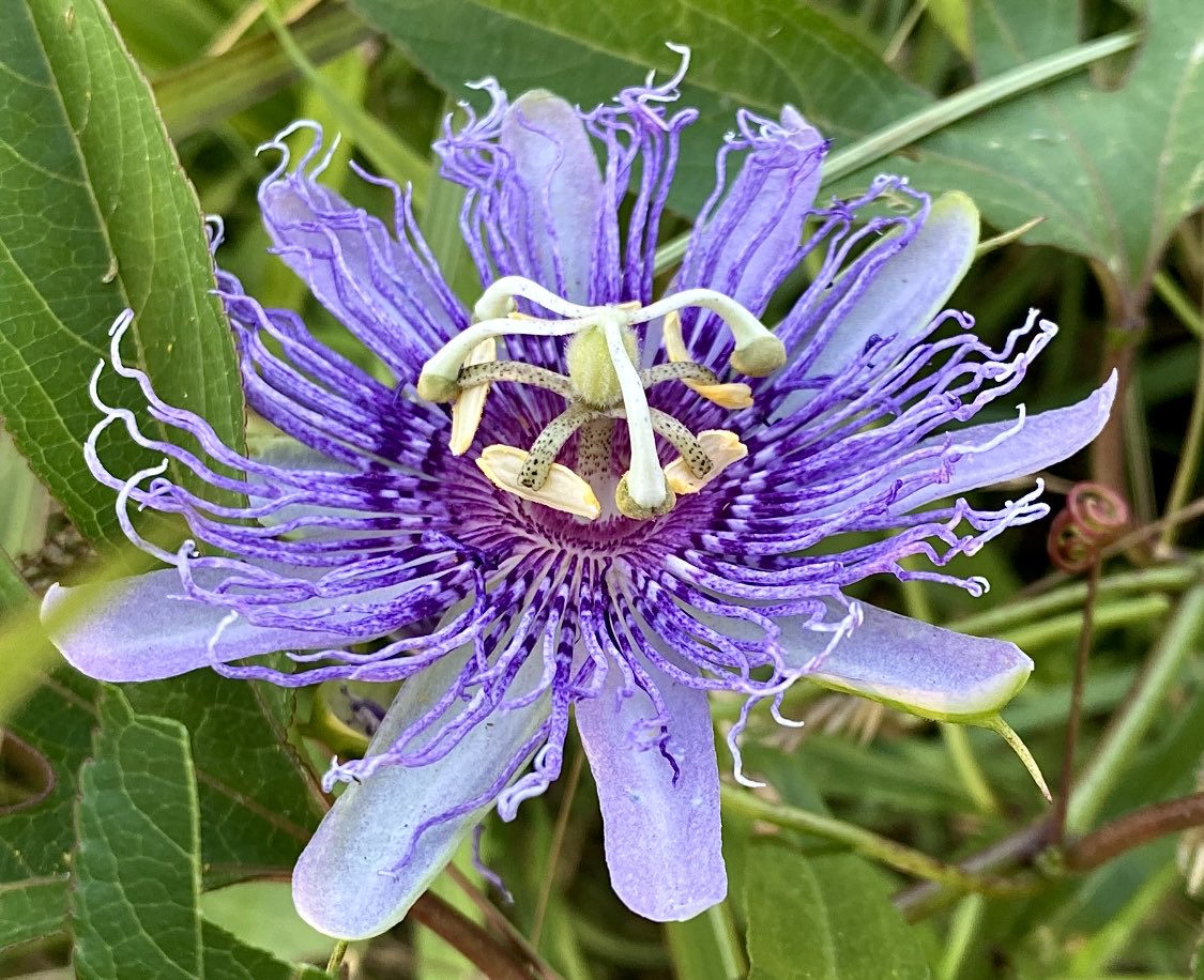 Happy Friday hope you’re having a good day and wishing you a wonderful weekend..💜