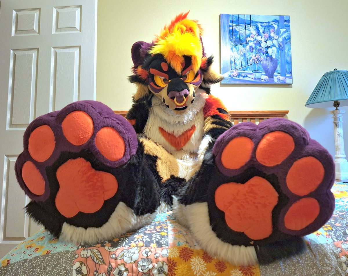 BAD CATTITUDE @ CO tweet media