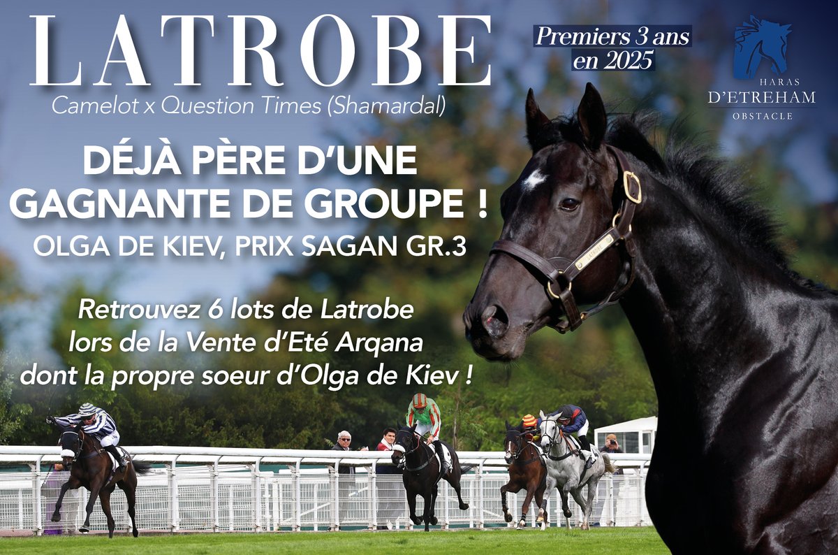 ✨ 6 lots par #Latrobe composent le catalogue de la Vente d'Eté <a href="/InfoArqana/">ARQANA</a> !
Retrouvez notamment les lots 84, 148, 174, 197, tous frères et soeurs de chevaux Black-Type, ou encore le lot 168, la propre soeur d'Olga de Kiev !
➡️ cutt.ly/8rRWVb1D