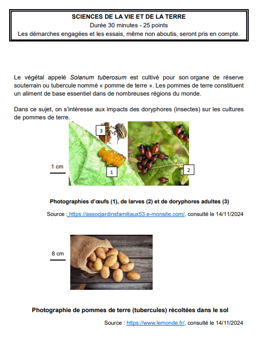 Julien Cabioch tweet media