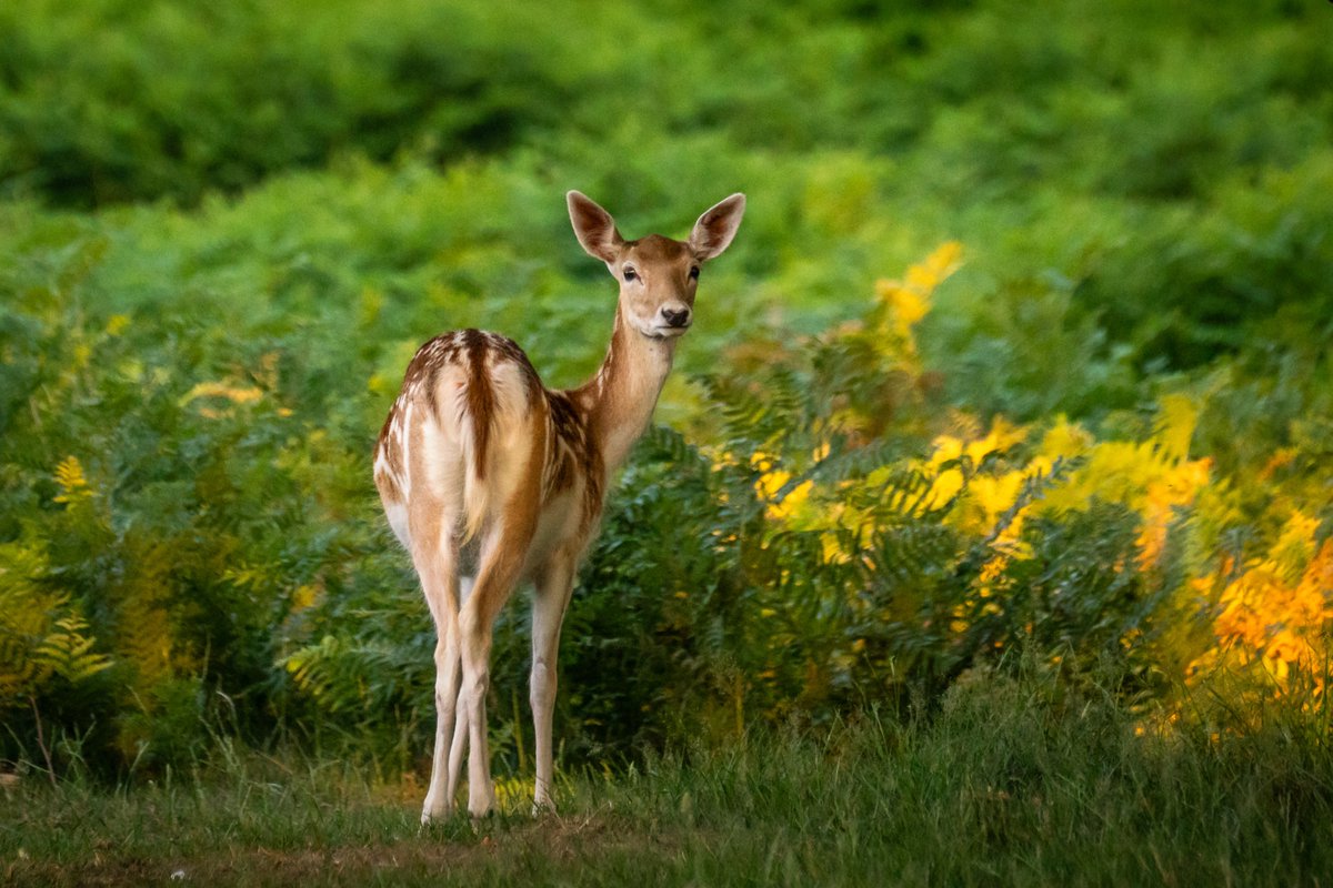 Morning all! ☕️☺️
