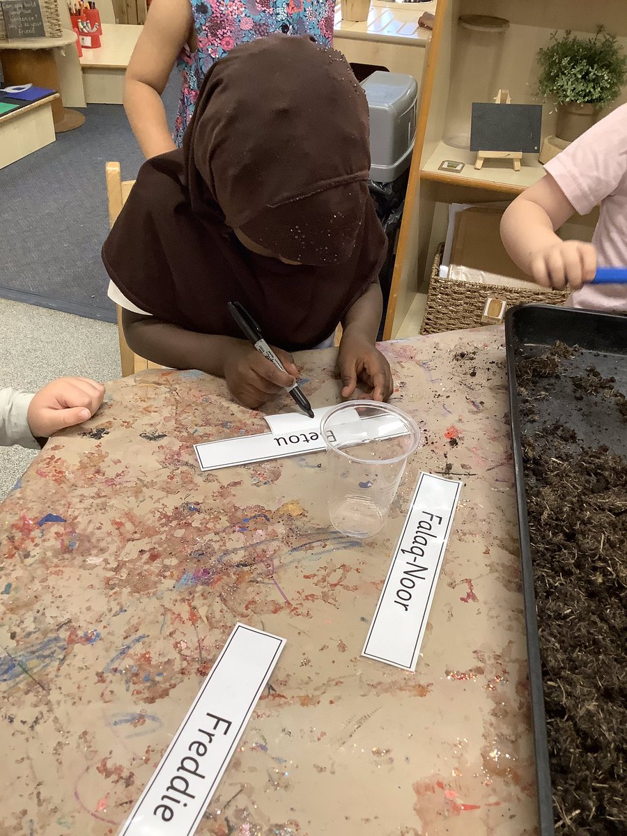 Pinders Primary tweet media