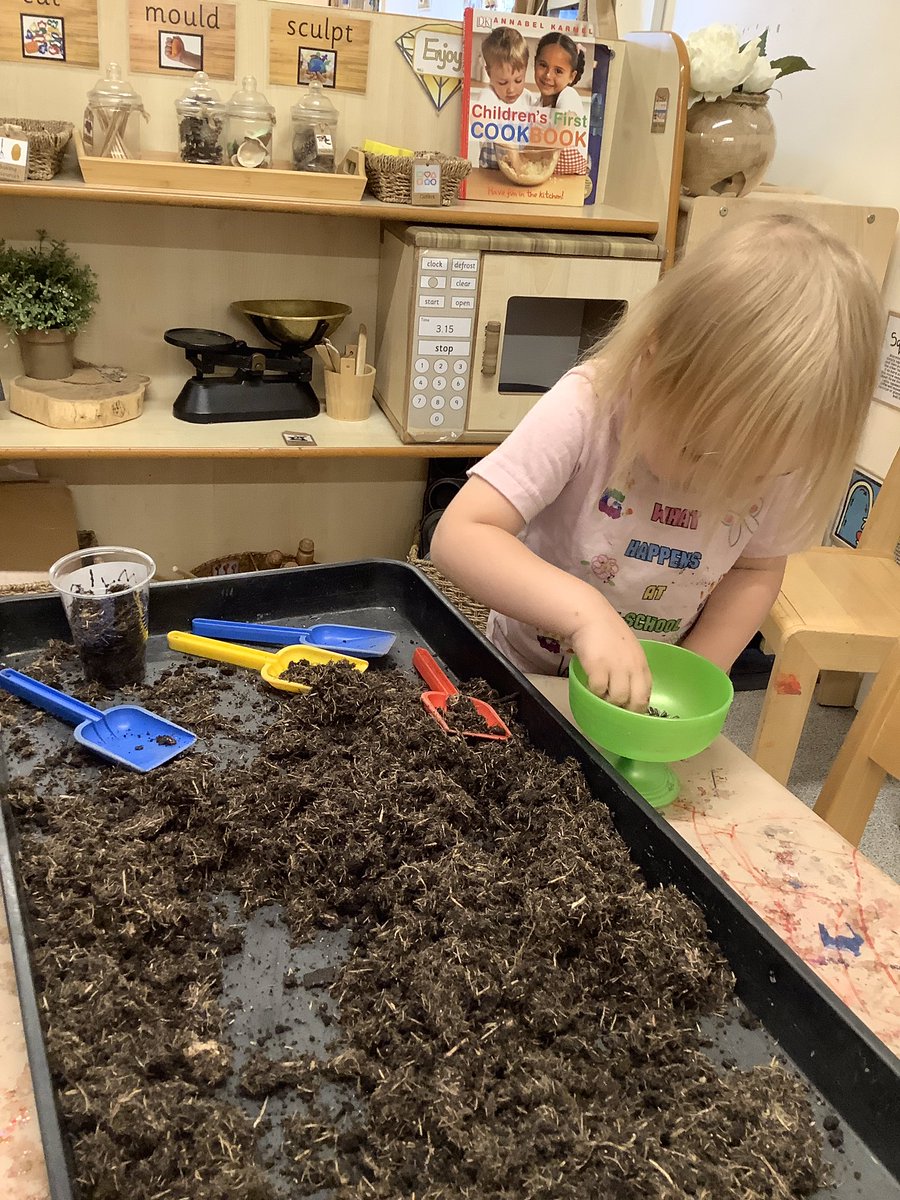 Pinders Primary tweet media